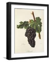 Mazuela Grape-J. Troncy-Framed Giclee Print