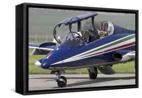 Mb-339A-Pan of the Frecce Tricolori Italian Aerobatic Team-null-Framed Stretched Canvas