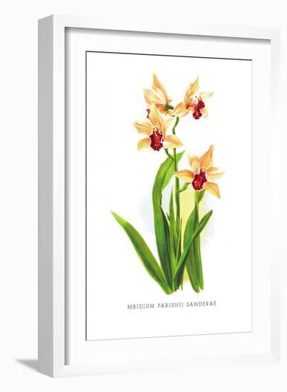 Mbidium Parishii Sanderae-H.g. Moon-Framed Art Print