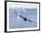 MC-130H Combat Talon-Stocktrek Images-Framed Photographic Print