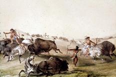 Chasse au bison chez les Indiens d'Amérique du Nord-Mc Gahey d'après G. Catlin-Mounted Giclee Print