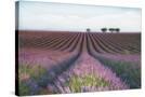Stretched Canvas