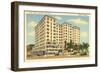 McAllister Hotel, Miami, Florida-null-Framed Art Print