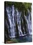 Mcarthur-Burney Falls Memorial State Park, California, United States of America, North America-Michael DeFreitas-Stretched Canvas