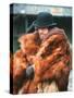 Mccabe And Mrs. Miller, Warren Beatty, 1971-null-Stretched Canvas