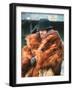 Mccabe And Mrs. Miller, Warren Beatty, 1971-null-Framed Photo