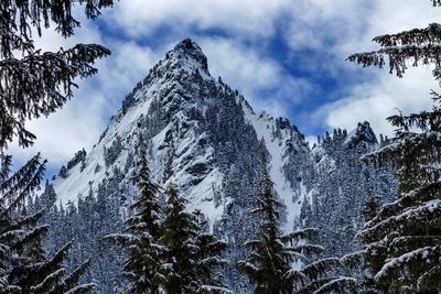 Mcclellan Butte Snow Mountain Peak Through Trees Snoqualmie Pass Washington State Photographic Print William Perry Allposters Com