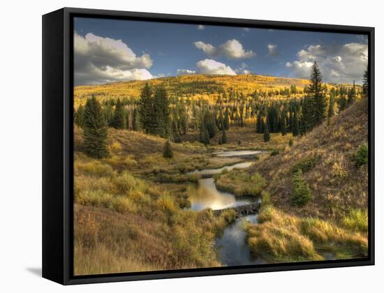 Mcclure Pass at Sunset During the Peak of Fall Colors in Colorado-Kyle Hammons-Framed Stretched Canvas