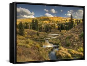 Mcclure Pass at Sunset During the Peak of Fall Colors in Colorado-Kyle Hammons-Framed Stretched Canvas