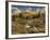 Mcclure Pass at Sunset During the Peak of Fall Colors in Colorado-Kyle Hammons-Framed Photographic Print