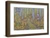 McClure Pass, Colorado with trail in grove of aspen trees.-Darrell Gulin-Framed Photographic Print