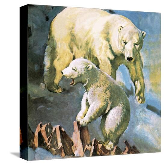 Stretched Canvas Print, , large