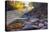 Mccormick Creek Sp Canyon in Early Morning Sun, Spencer, Indiana-Rona Schwarz-Stretched Canvas