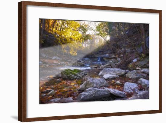 Mccormick Creek Sp Canyon in Early Morning Sun, Spencer, Indiana-Rona Schwarz-Framed Photographic Print