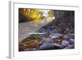 Mccormick Creek Sp Canyon in Early Morning Sun, Spencer, Indiana-Rona Schwarz-Framed Photographic Print