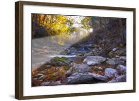 Mccormick Creek Sp Canyon in Early Morning Sun, Spencer, Indiana-Rona Schwarz-Framed Photographic Print