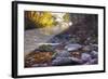 Mccormick Creek Sp Canyon in Early Morning Sun, Spencer, Indiana-Rona Schwarz-Framed Photographic Print