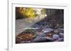 Mccormick Creek Sp Canyon in Early Morning Sun, Spencer, Indiana-Rona Schwarz-Framed Photographic Print