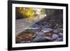 Mccormick Creek Sp Canyon in Early Morning Sun, Spencer, Indiana-Rona Schwarz-Framed Photographic Print