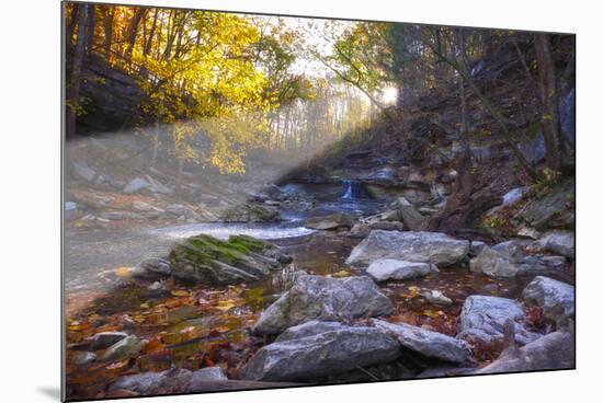 Mccormick Creek Sp Canyon in Early Morning Sun, Spencer, Indiana-Rona Schwarz-Mounted Photographic Print