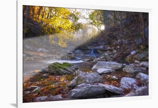 Mccormick Creek Sp Canyon in Early Morning Sun, Spencer, Indiana-Rona Schwarz-Framed Photographic Print