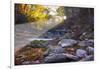 Mccormick Creek Sp Canyon in Early Morning Sun, Spencer, Indiana-Rona Schwarz-Framed Photographic Print