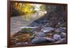 Mccormick Creek Sp Canyon in Early Morning Sun, Spencer, Indiana-Rona Schwarz-Framed Photographic Print