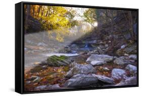 Mccormick Creek Sp Canyon in Early Morning Sun, Spencer, Indiana-Rona Schwarz-Framed Stretched Canvas