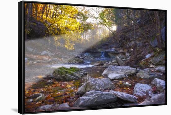 Mccormick Creek Sp Canyon in Early Morning Sun, Spencer, Indiana-Rona Schwarz-Framed Stretched Canvas