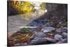 Mccormick Creek Sp Canyon in Early Morning Sun, Spencer, Indiana-Rona Schwarz-Stretched Canvas