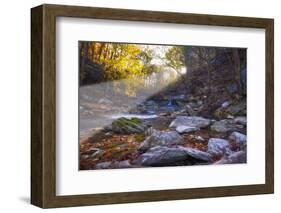 Mccormick Creek Sp Canyon in Early Morning Sun, Spencer, Indiana-Rona Schwarz-Framed Photographic Print