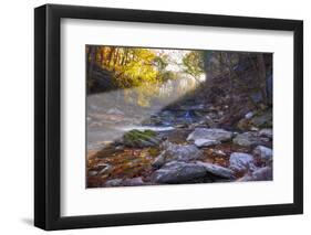 Mccormick Creek Sp Canyon in Early Morning Sun, Spencer, Indiana-Rona Schwarz-Framed Photographic Print