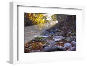 Mccormick Creek Sp Canyon in Early Morning Sun, Spencer, Indiana-Rona Schwarz-Framed Photographic Print