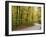 Mccormics Creek State Park, Indiana, Usa-Anna Miller-Framed Photographic Print