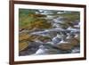 Mcdonald Creek in Spring in Glacier National Park, Montana, Usa-Chuck Haney-Framed Photographic Print