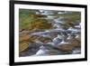 Mcdonald Creek in Spring in Glacier National Park, Montana, Usa-Chuck Haney-Framed Photographic Print