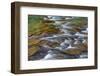 Mcdonald Creek in Spring in Glacier National Park, Montana, Usa-Chuck Haney-Framed Photographic Print