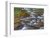 Mcdonald Creek in Spring in Glacier National Park, Montana, Usa-Chuck Haney-Framed Photographic Print