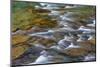 Mcdonald Creek in Spring in Glacier National Park, Montana, Usa-Chuck Haney-Mounted Photographic Print