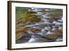 Mcdonald Creek in Spring in Glacier National Park, Montana, Usa-Chuck Haney-Framed Photographic Print