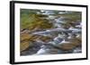 Mcdonald Creek in Spring in Glacier National Park, Montana, Usa-Chuck Haney-Framed Photographic Print