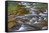Mcdonald Creek in Spring in Glacier National Park, Montana, Usa-Chuck Haney-Framed Stretched Canvas
