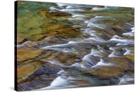 Mcdonald Creek in Spring in Glacier National Park, Montana, Usa-Chuck Haney-Stretched Canvas