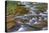 Mcdonald Creek in Spring in Glacier National Park, Montana, Usa-Chuck Haney-Stretched Canvas