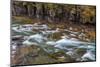 Mcdonald Creek in Spring in Glacier National Park, Montana, Usa-Chuck Haney-Mounted Photographic Print