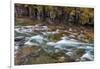 Mcdonald Creek in Spring in Glacier National Park, Montana, Usa-Chuck Haney-Framed Photographic Print