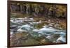 Mcdonald Creek in Spring in Glacier National Park, Montana, Usa-Chuck Haney-Framed Photographic Print