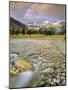 Mcdonald Creek with the Garden Wall in Autumn in Glacier National Park, Montana, Usa-Chuck Haney-Mounted Photographic Print