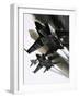 Mcdonnell Douglas F-15 Eagle Jet Fighter-Wilf Hardy-Framed Giclee Print