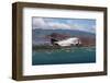 McDonnell F-4 Phantom II Fighter-null-Framed Art Print